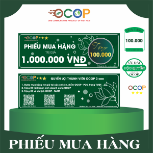 Phiếu mua hàng trợ giá 1.000.000 VNĐ