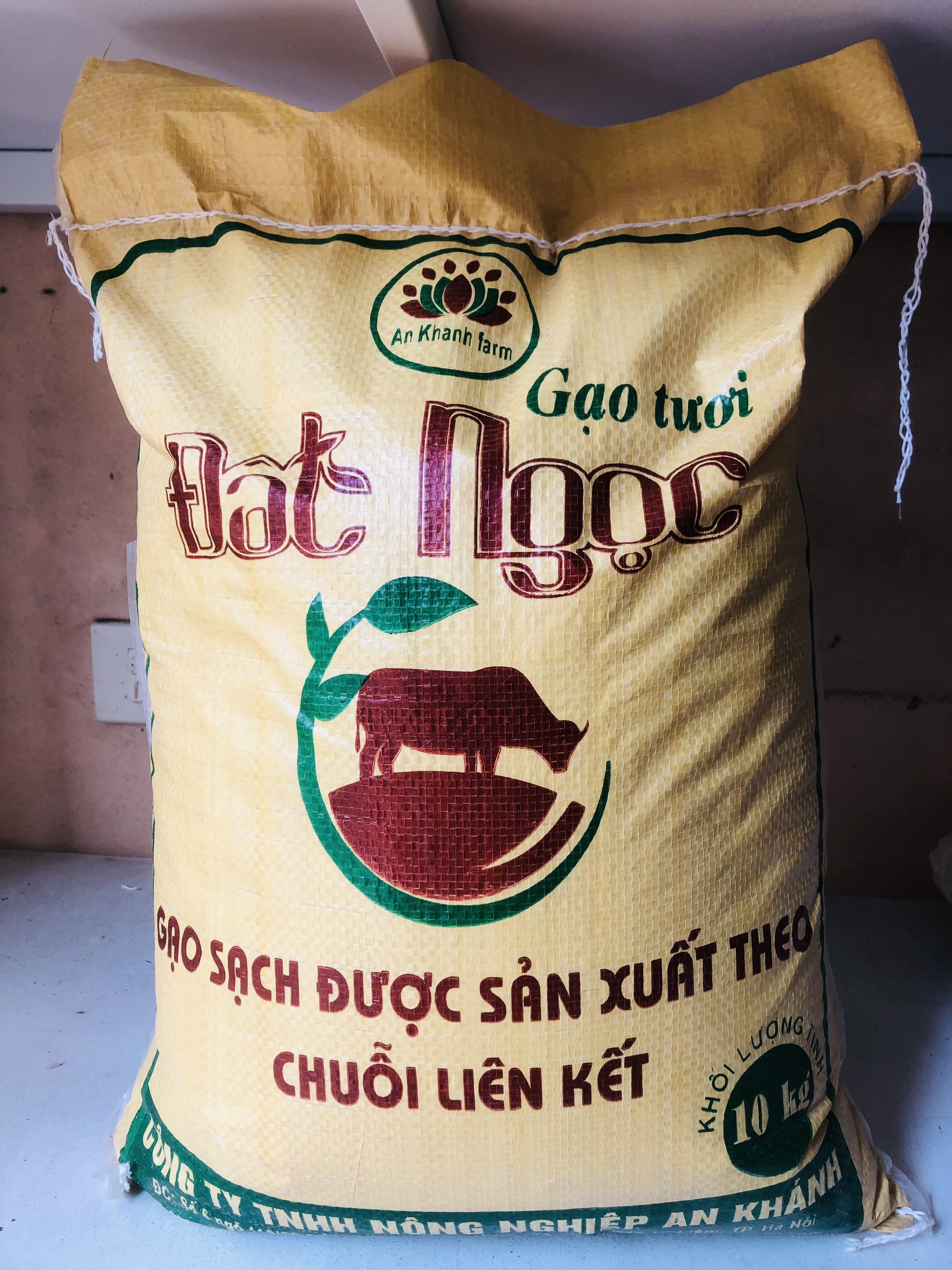 Gạo tươi Đất Ngọc 10kg